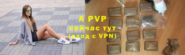 стаф Елабуга
