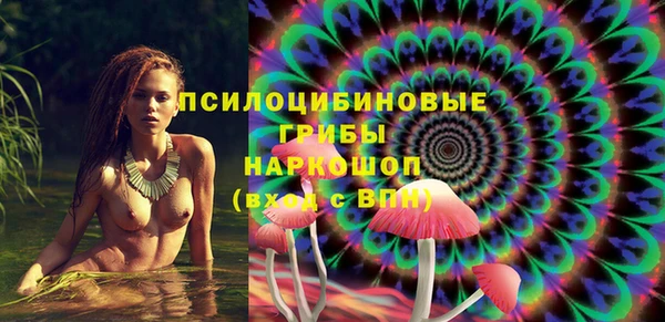 стаф Елабуга