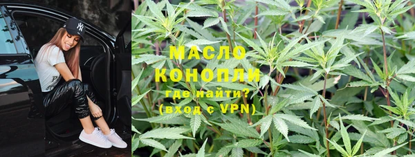 стаф Елабуга