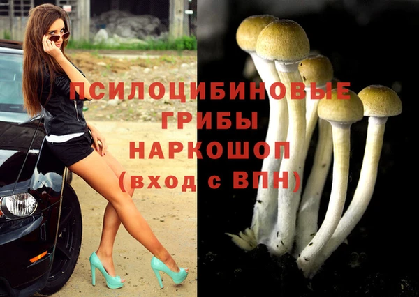 стаф Елабуга