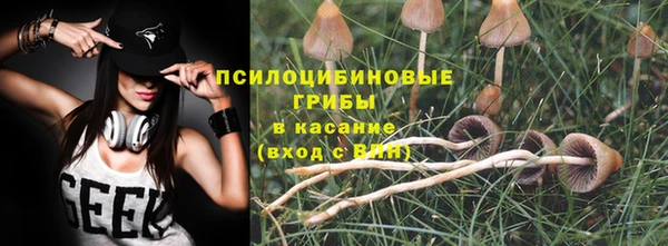 стаф Елабуга