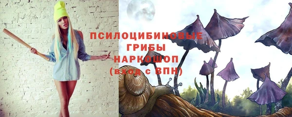 стаф Елабуга