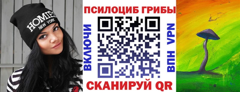 Галлюциногенные грибы Cubensis  Купить закладки  Гороховец 